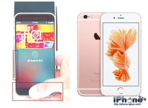 究竟這是角度問題呢，還是蘋果“臨時工”不小心之為，提前曝光一臺未發布的新iPhone？有猜測認為，這臺新iPhone可能是最近盛傳的4英寸iPhone 5se。